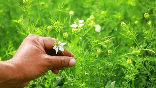 Untitled design (34) Untitled design (34)