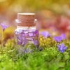 purple, magic, potion-3102305.jpg